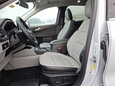 2026 Ford Escape Platinum