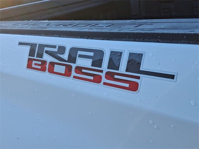 2020 Chevrolet Silverado 1500 LT Trail Boss